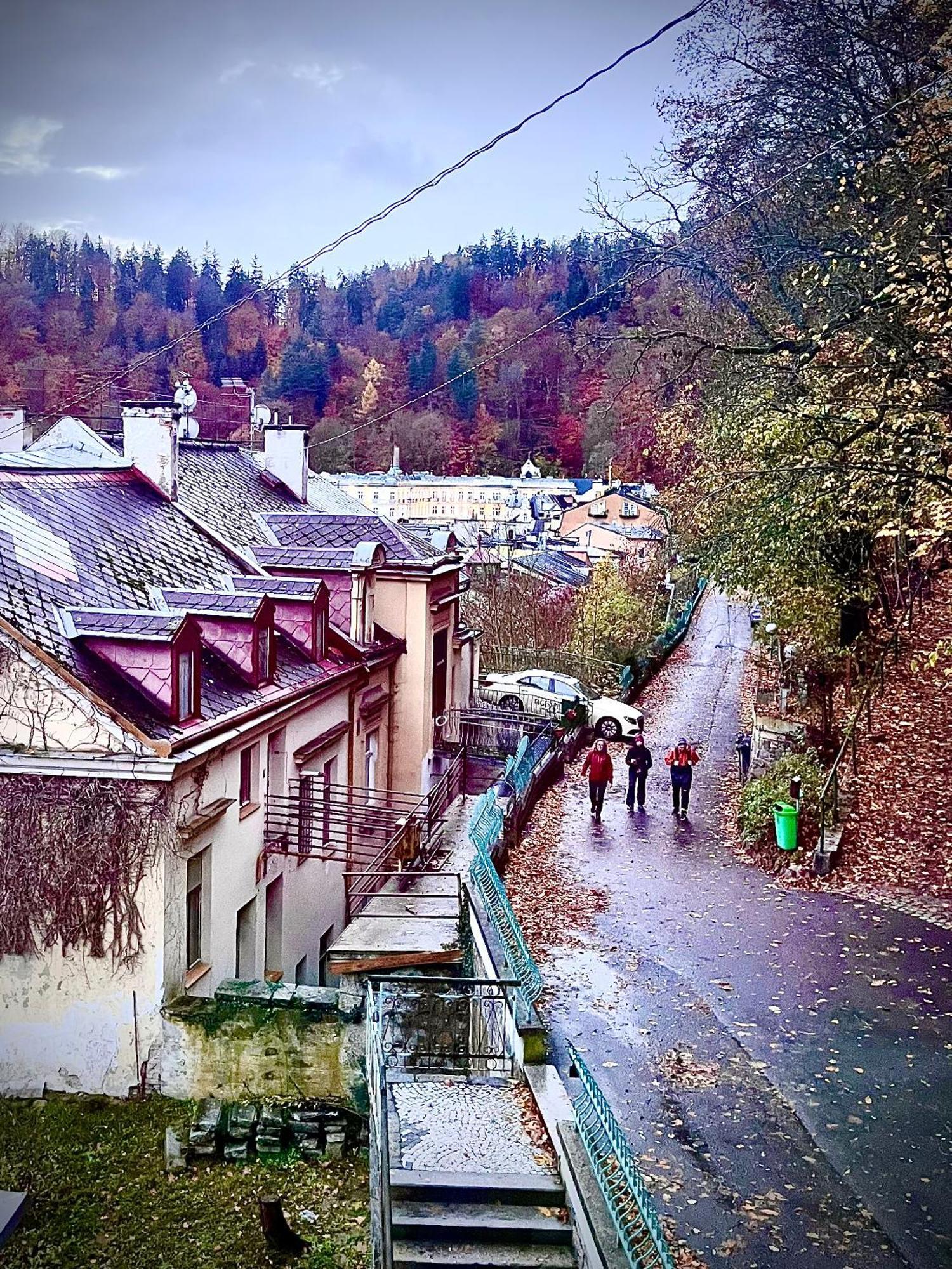 Bohemian City - Amazing View, Garage Karlsbad Exteriör bild